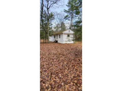 Lake Home For Sale in Pte Aux Pins, Michigan