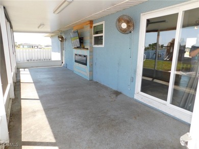 *Dear Potential Buyer: I am SO tired of being here all alone - photo 15