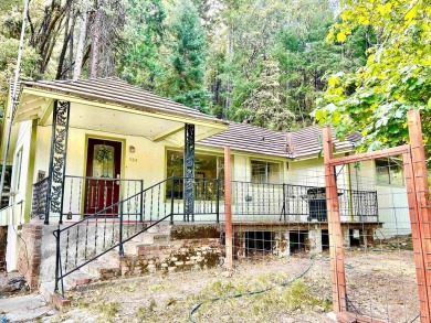 Lake Home For Sale in Dunsmuir, California