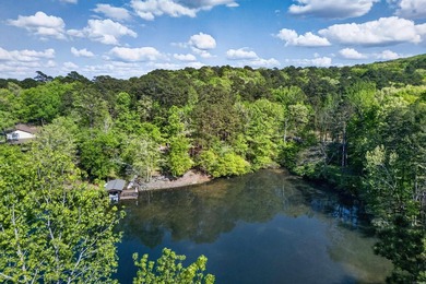 Experience the ultimate lakefront lifestyle in this charming - photo 25