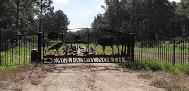 (private lake, pond, creek) Acreage For Sale in Lewisville Arkansas