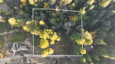 Lake Lot For Sale in Berry Creek, California