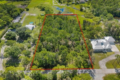 1.25 acre unimproved vacant treed lot in one of the least known - photo 1