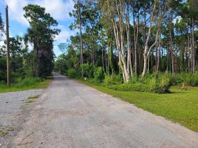 1.25 acre unimproved vacant treed lot in one of the least known - photo 3