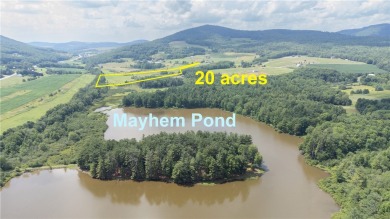 Mayham Pond Acreage For Sale in Gilboa New York