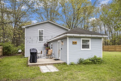 Pettibone Lake Home For Sale in Bitely Michigan