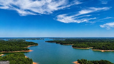 This cute cabin on year-round deep water is the lakefront - photo 10
