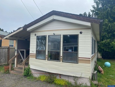 Tiny home on it's own land with 2 outbuildings and covered area - photo 1