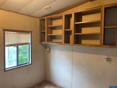 Tiny home on it's own land with 2 outbuildings and covered area - photo 10