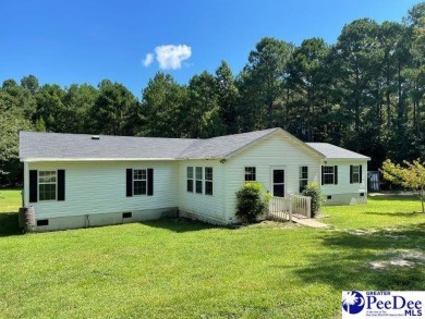 (private lake, pond, creek) Home For Sale in Patrick South Carolina