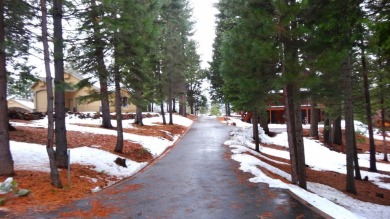 Lake Almanor Lot For Sale in Chester California