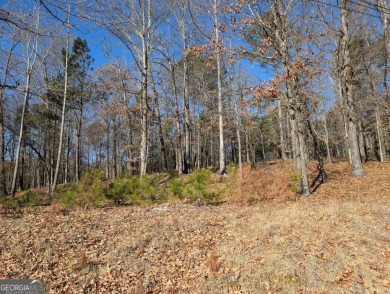 Lake Lot Sale Pending in Gainesville, Georgia