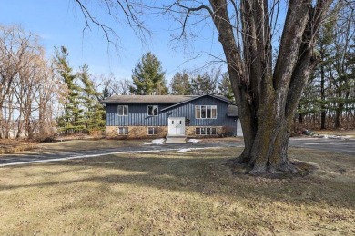 Lake Home For Sale in Nininger Twp, Minnesota