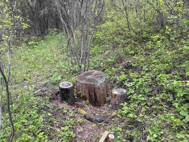 Rare opportunity to own a versatile mountain property in the - photo 13