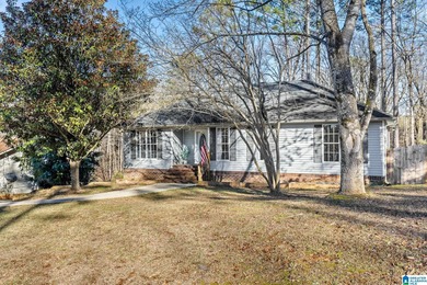 Million Dollar Lake Home Active Under Contract in Mccalla Alabama