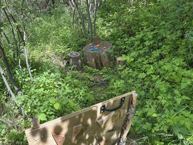 Rare opportunity to own a versatile mountain property in the - photo 28