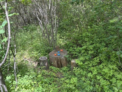 Rare opportunity to own a versatile mountain property in the - photo 30