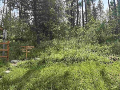 Rare opportunity to own a versatile mountain property in the - photo 37