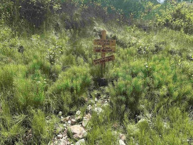 Rare opportunity to own a versatile mountain property in the - photo 38
