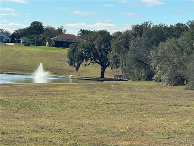 (private lake, pond, creek) Acreage For Sale in Inverness Florida