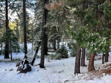 Lake Lot For Sale in Lake Almanor West, California