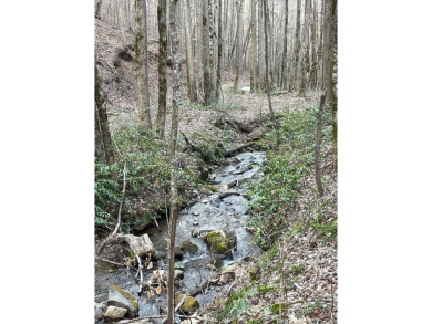 Lake Acreage For Sale in Bryson City, North Carolina