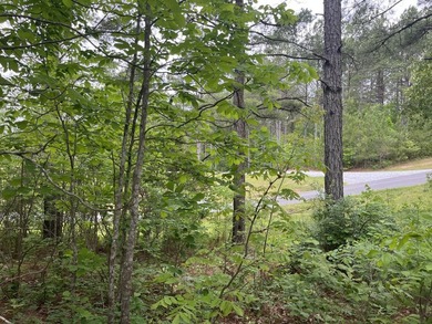 Tucked inside the gated community of Waterford at Lay Lake, this - photo 5