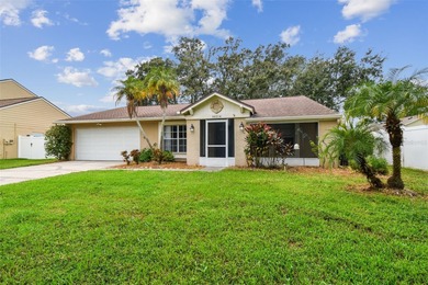 (private lake, pond, creek) Home Sale Pending in Tampa Florida