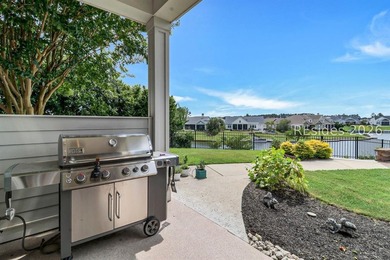 Stunning lakefront home on a prime cul-de-sac lot in Hampton - photo 43