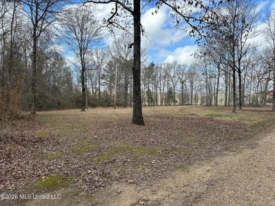 Beautiful 10.2 acre lakefront tract located on Barnes Road just - photo 4