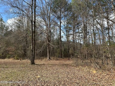 Beautiful 10.2 acre lakefront tract located on Barnes Road just - photo 5