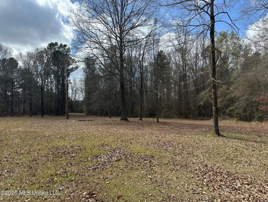 Beautiful 10.2 acre lakefront tract located on Barnes Road just - photo 6