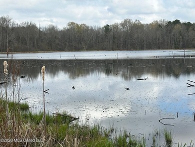 (private lake, pond, coastal) Lot For Sale in Florence Mississippi