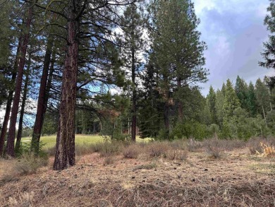 (private lake, pond, coastal) Lot For Sale in Portola California