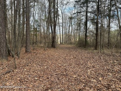 Beautiful 23 acre lakefront tract located on Barnes Road just - photo 4