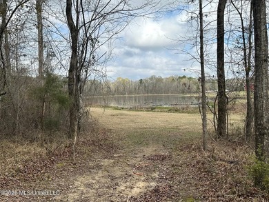 Beautiful 23 acre lakefront tract located on Barnes Road just - photo 5