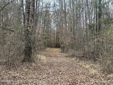 Beautiful 23 acre lakefront tract located on Barnes Road just - photo 8