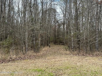 Beautiful 23 acre lakefront tract located on Barnes Road just - photo 9