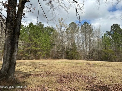 Beautiful 23 acre lakefront tract located on Barnes Road just - photo 10