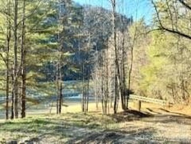 (private lake, pond, coastal) Acreage For Sale in Zirconia North Carolina