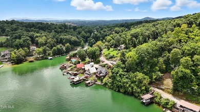 First time on the market, this cozy waterfront cabin graces the - photo 50