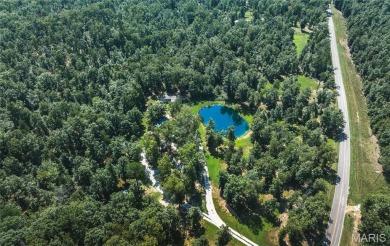 Lake Home For Sale in Jadwin, Missouri
