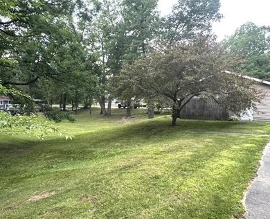 Charming Updated Cottage Near Houghton Lake. This very nicely - photo 9