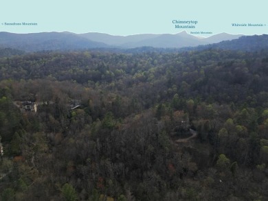 Lake Lot For Sale in Sapphire, North Carolina