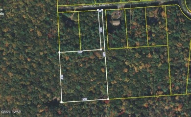 Tink Wig Lake Acreage Sale Pending in Hawley Pennsylvania