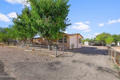 Lake Roosevelt Home For Sale in Roosevelt Arizona