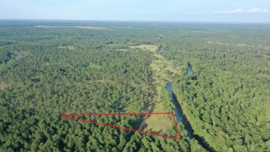 Lot #1 features 195.92 ft of waterfront along Big Cypress Bayou. - Lake Lot For Sale in Jefferson, Texas