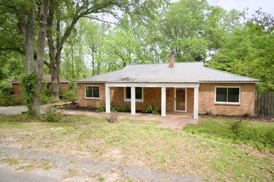 (private lake, pond, coastal) Home For Sale in Williston South Carolina