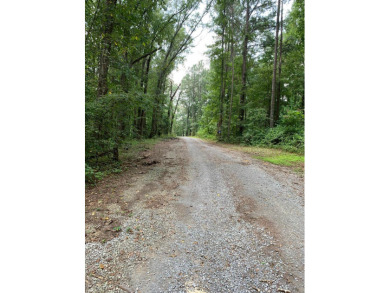 Lake Lot For Sale in Arley, Alabama