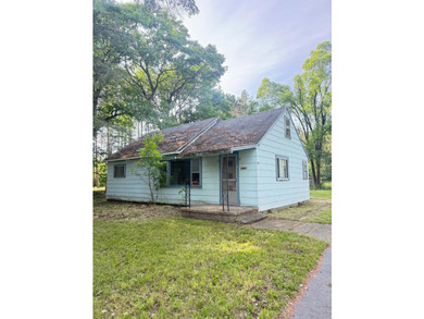 Handyman Special in a Prime Hubbard Lake Location! Don't miss - photo 1